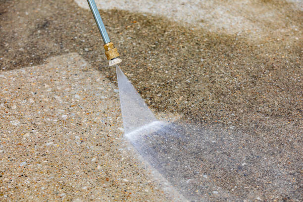 Best Animal Enclosure Cleaning  in Duluth, GA